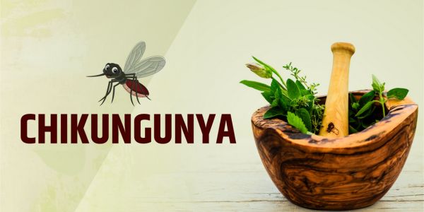 Chikungunya - Vishwayan Ayurveda