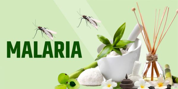 Malaria - Vishwayan Ayurveda